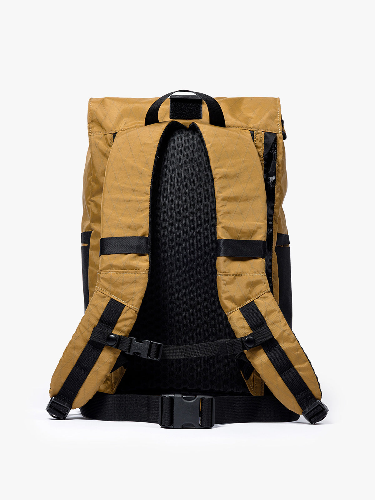 SANCTION LS