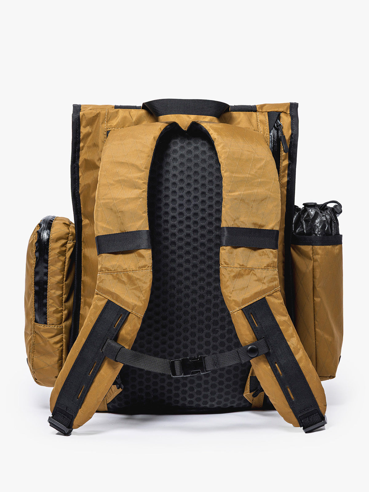 SANCTION LS