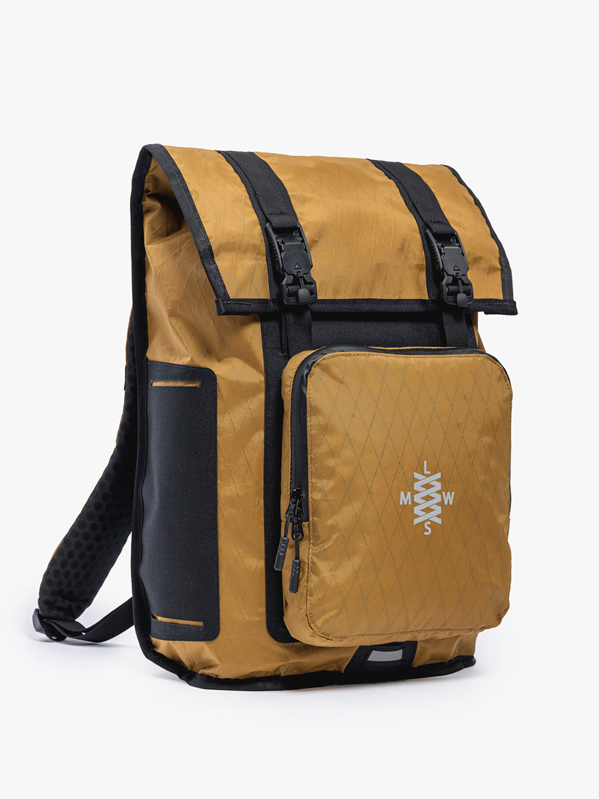 SANCTION LS
